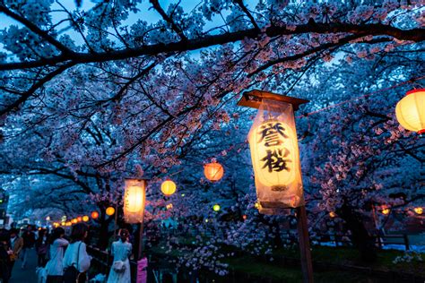 東京イベント3月：桜の季節に響く都市の鼓動